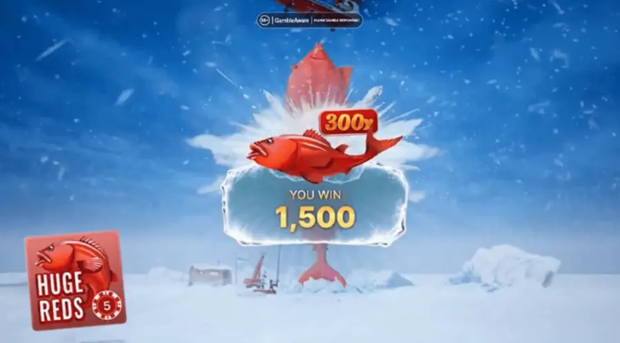 Ice fishing live casino